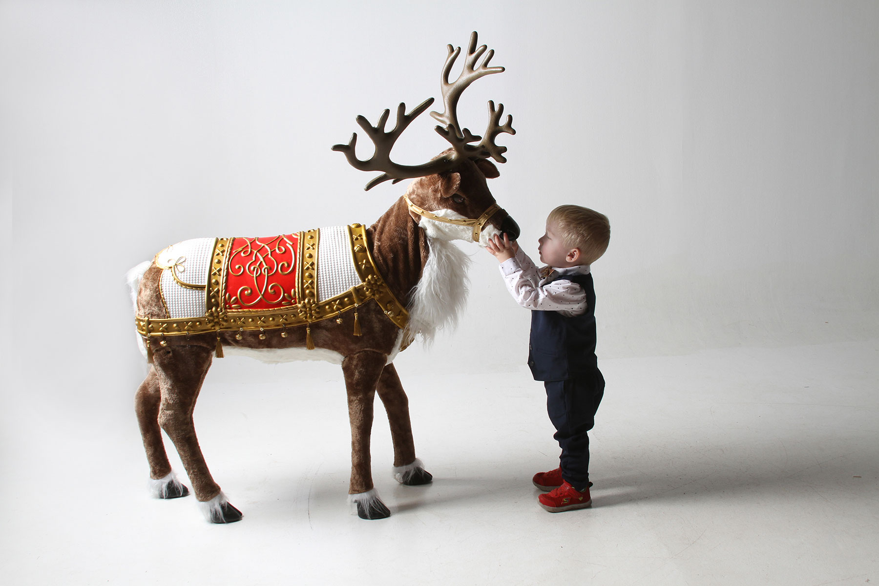 little boy holding the reindeer's face in his hands