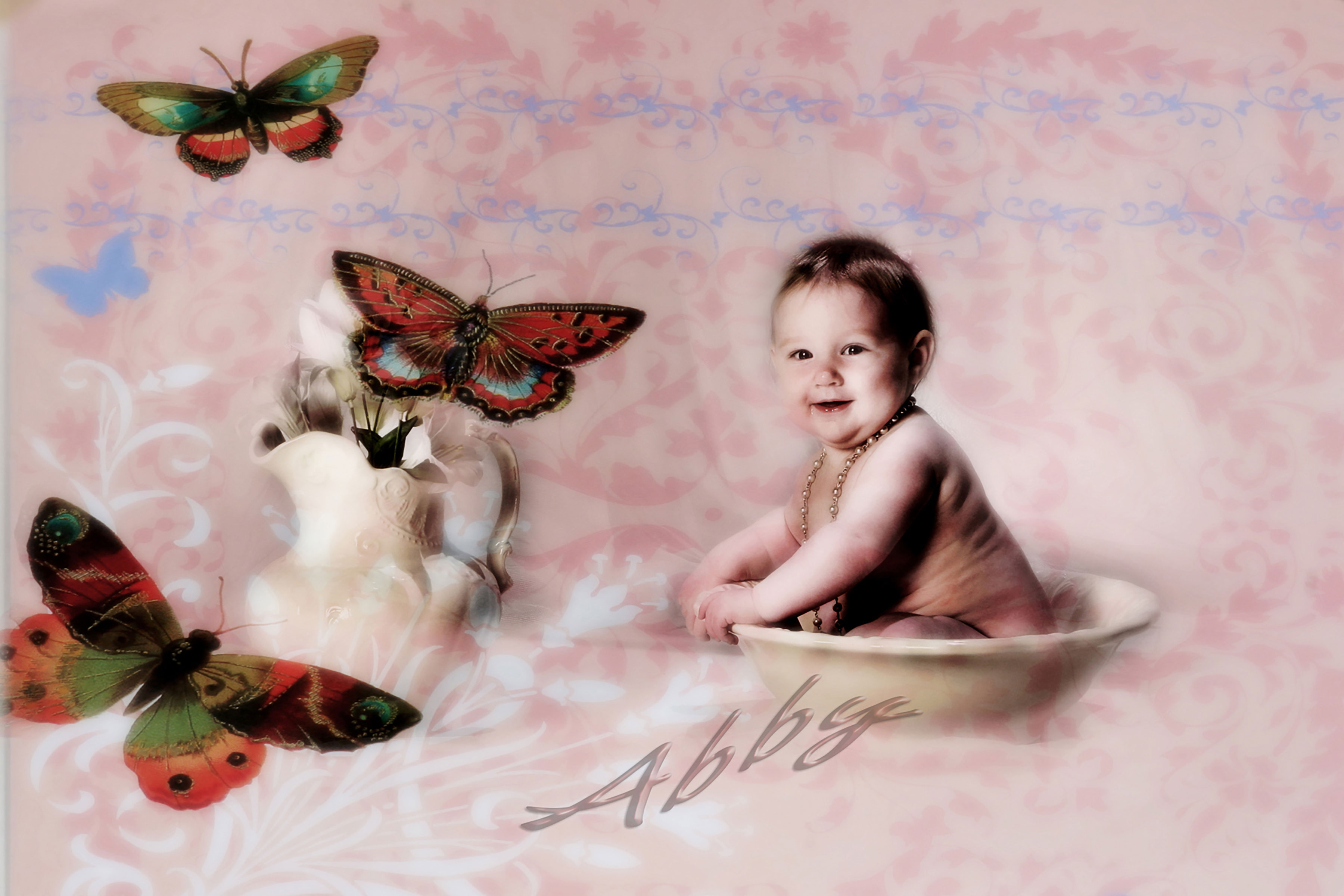 butterfly baby photographer