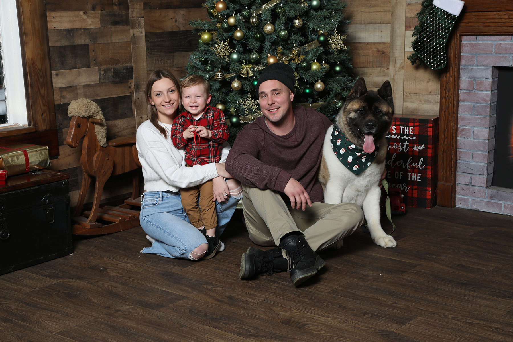 mom, dad, little boy and the family's large dog posing in front of a christmas tree at Kurt Nielsen Photography