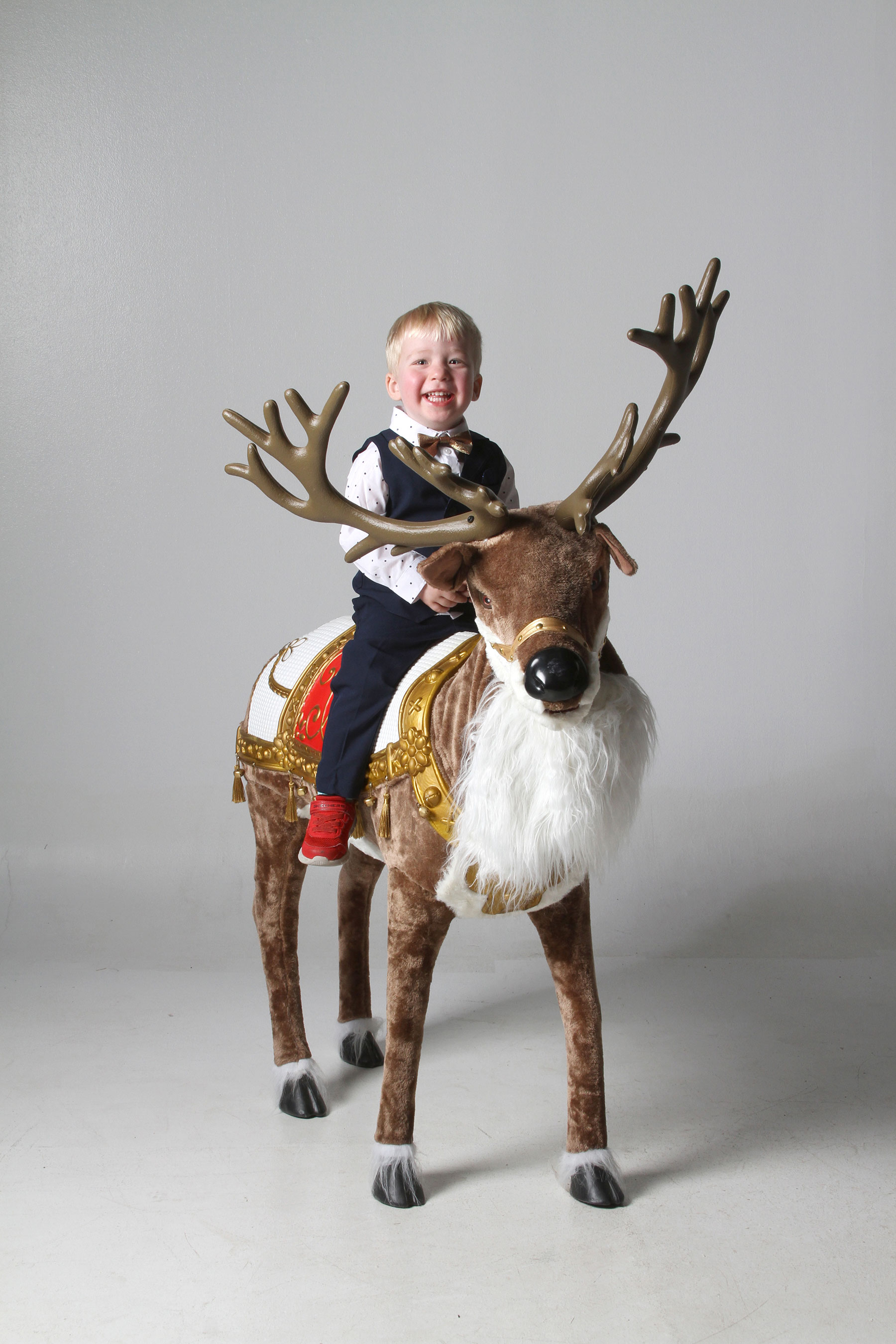 little boy sitting on fake reindeer while posing for a photo at Kurt Nielsen Photography portrait studio in Sylvania, Ohio
